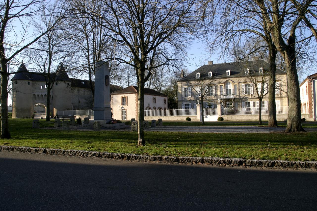 Chateau Mesny Vic-sur-Seille Esterno foto